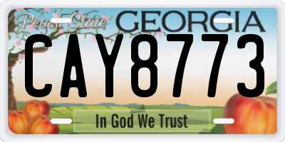 GA license plate CAY8773