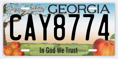 GA license plate CAY8774