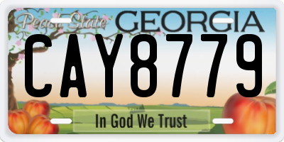 GA license plate CAY8779