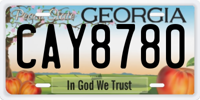 GA license plate CAY8780