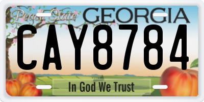GA license plate CAY8784
