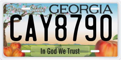 GA license plate CAY8790
