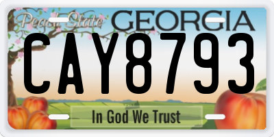 GA license plate CAY8793