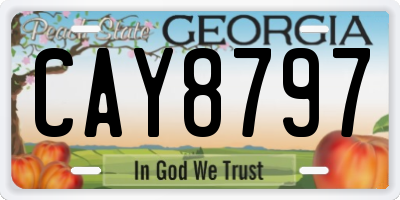 GA license plate CAY8797