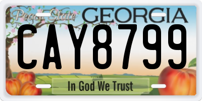 GA license plate CAY8799