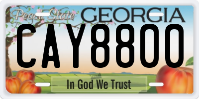 GA license plate CAY8800
