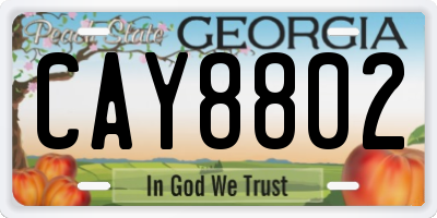 GA license plate CAY8802