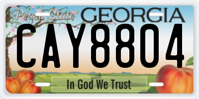 GA license plate CAY8804