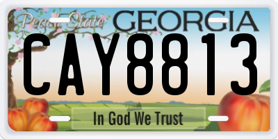 GA license plate CAY8813