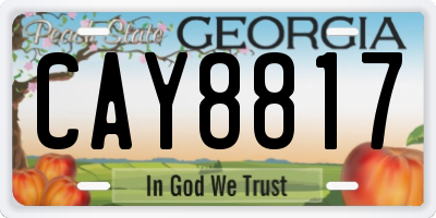 GA license plate CAY8817