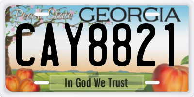 GA license plate CAY8821