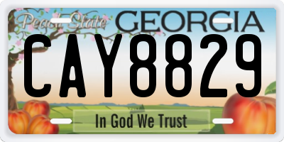 GA license plate CAY8829
