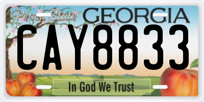 GA license plate CAY8833