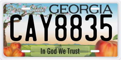 GA license plate CAY8835