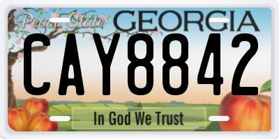 GA license plate CAY8842