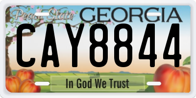 GA license plate CAY8844