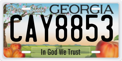 GA license plate CAY8853
