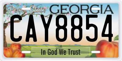 GA license plate CAY8854