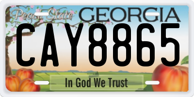 GA license plate CAY8865