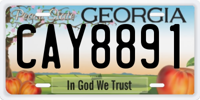 GA license plate CAY8891