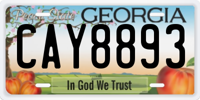 GA license plate CAY8893