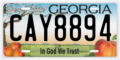 GA license plate CAY8894