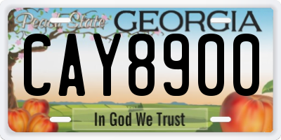 GA license plate CAY8900