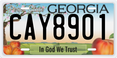 GA license plate CAY8901