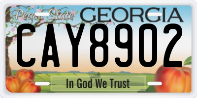 GA license plate CAY8902