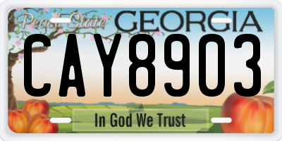 GA license plate CAY8903