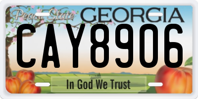 GA license plate CAY8906