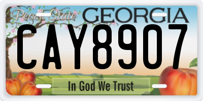 GA license plate CAY8907