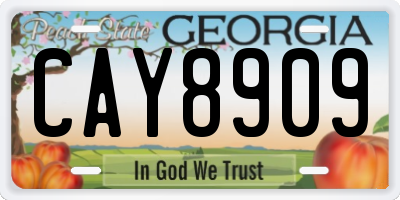 GA license plate CAY8909