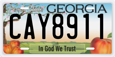 GA license plate CAY8911