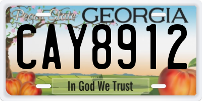 GA license plate CAY8912