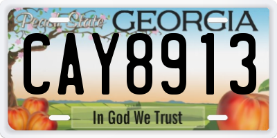 GA license plate CAY8913