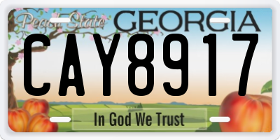 GA license plate CAY8917