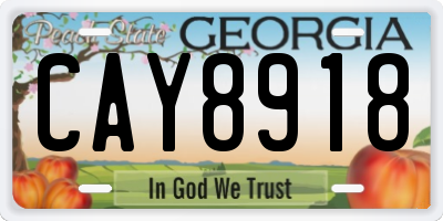 GA license plate CAY8918