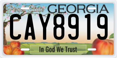 GA license plate CAY8919