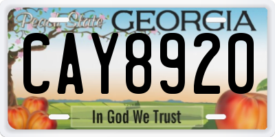 GA license plate CAY8920