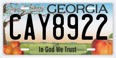 GA license plate CAY8922