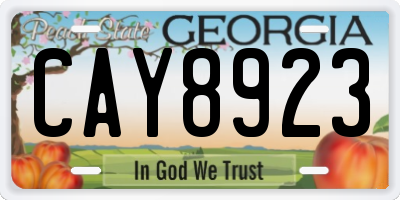 GA license plate CAY8923
