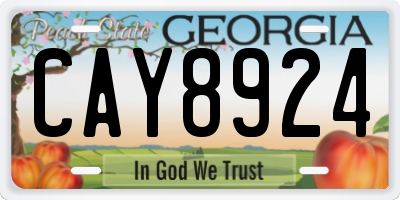 GA license plate CAY8924