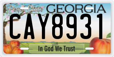 GA license plate CAY8931