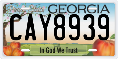 GA license plate CAY8939