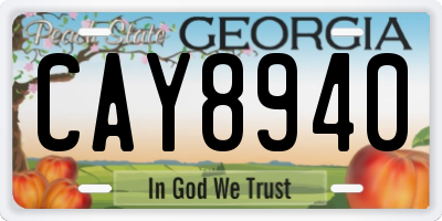GA license plate CAY8940