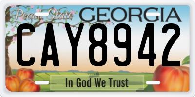 GA license plate CAY8942