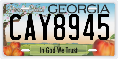 GA license plate CAY8945