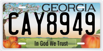 GA license plate CAY8949