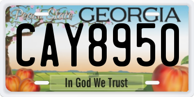 GA license plate CAY8950